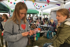 20170628_Vilde Vulkaner 2017 (19)