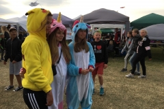 20170628_Vilde Vulkaner 2017 (25)