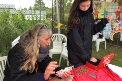 20170628_Vilde Vulkaner 2017 (59)