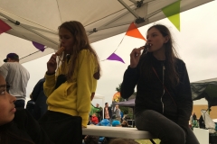 20170628_Vilde Vulkaner 2017 (67)